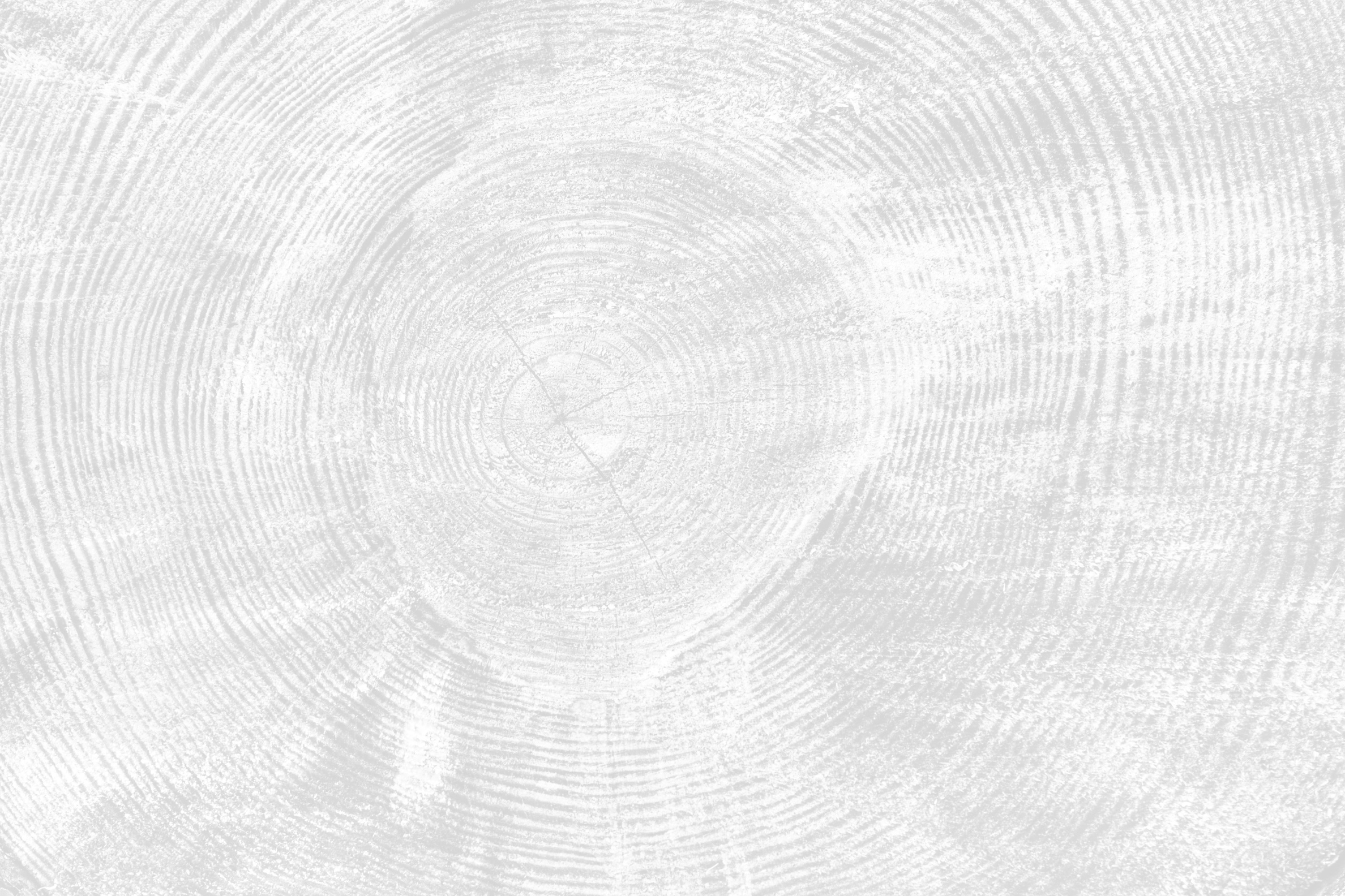 BF Textures Woodgrain Texture White Traeger