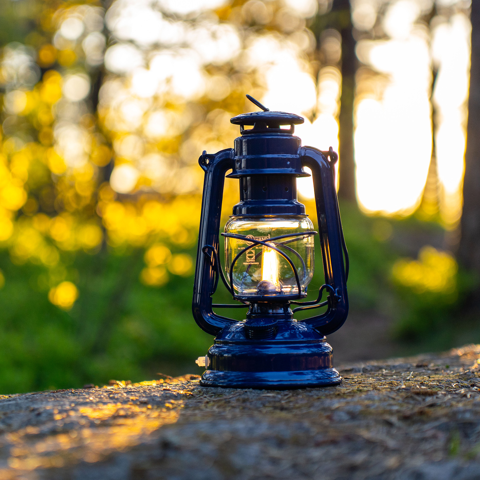Untitled 221