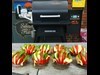 Roeget Tomatsalat Opskrift Pillegrill 4 3620