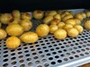 Roeget Kartoffelsalat Opskrift Pillegrill 3 3659