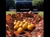 De Nemme Kartofler Opskrift Pillegrill 1 3732